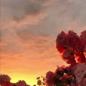 Meet your Posher, Willa